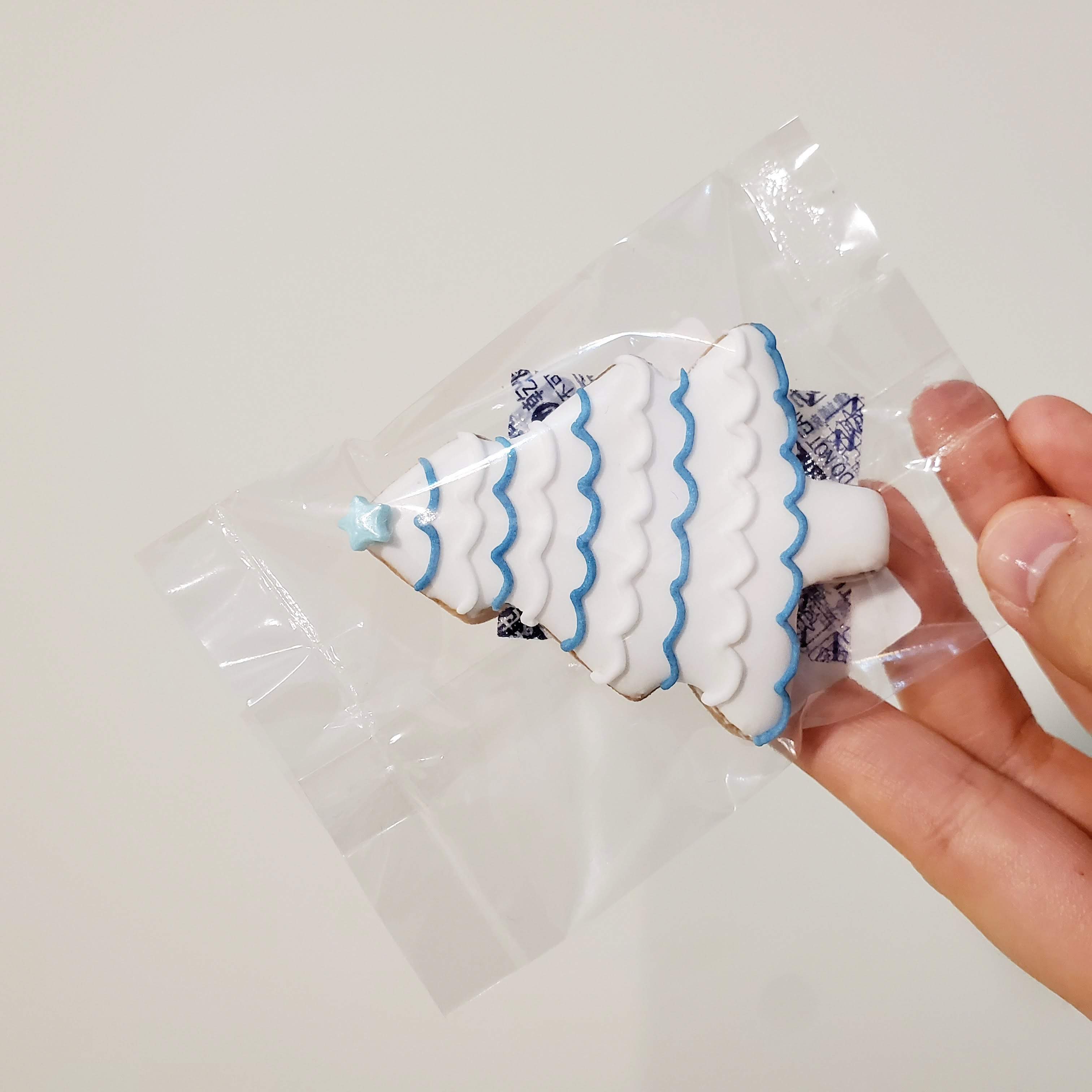 Beginner Class ( Christmas )