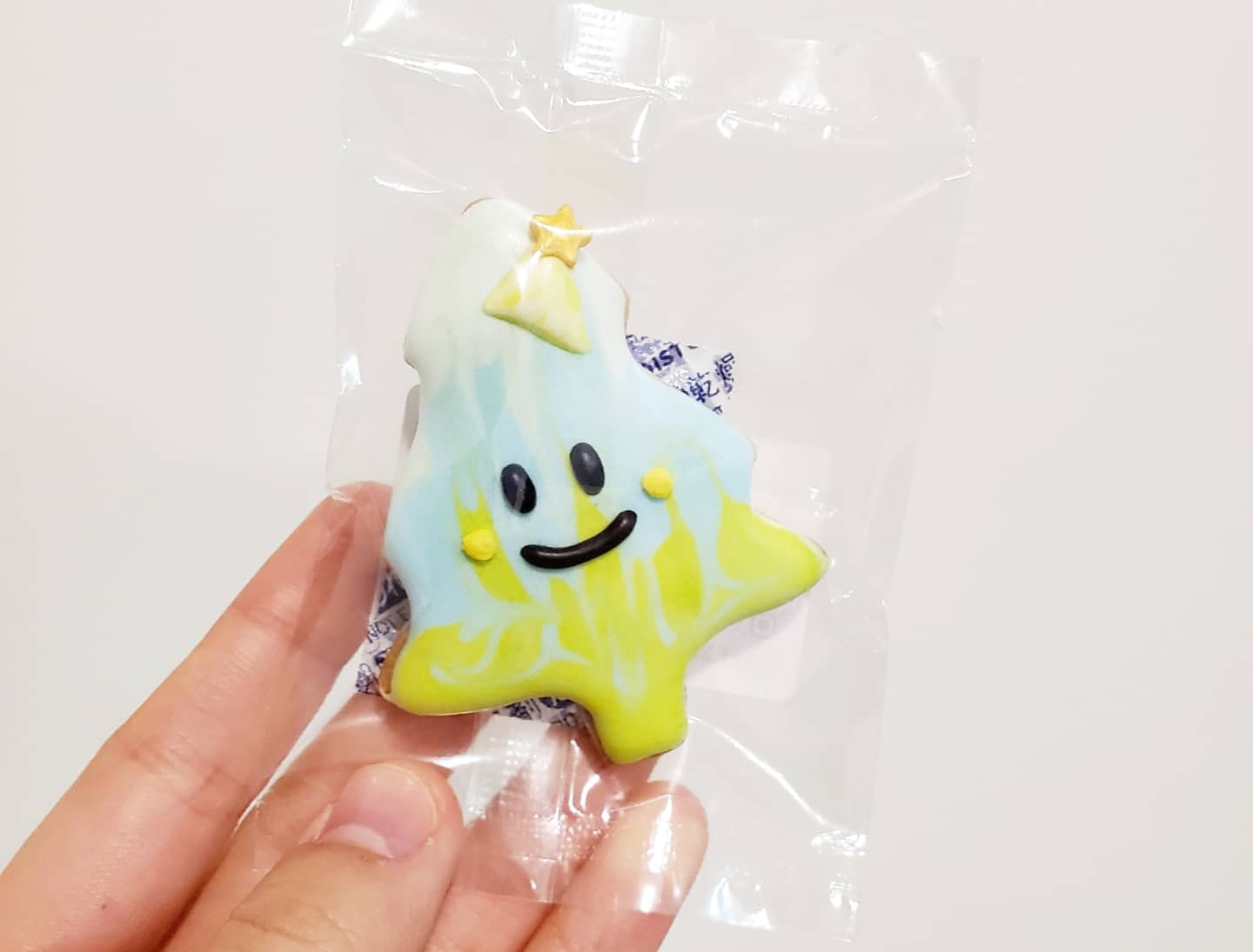 Beginner Class ( Christmas )