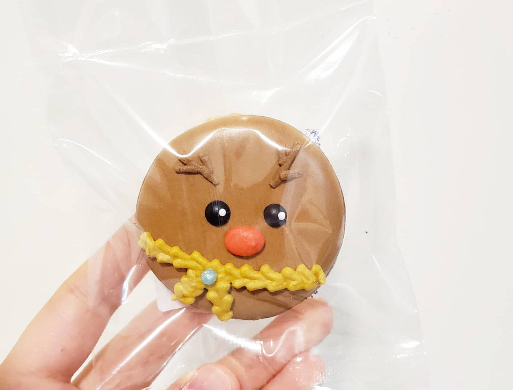 Beginner Class ( Christmas )