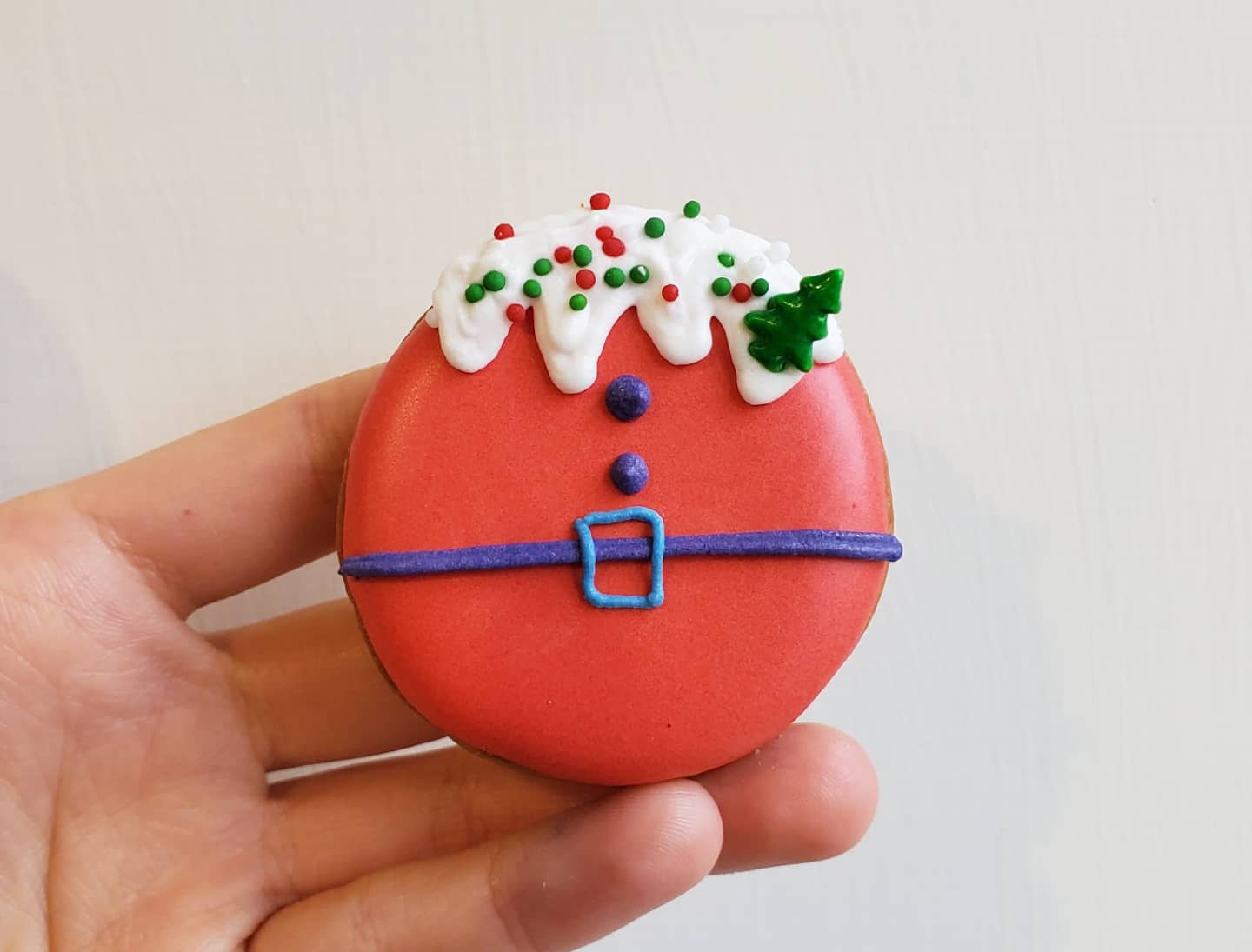 Beginner Class ( Christmas )