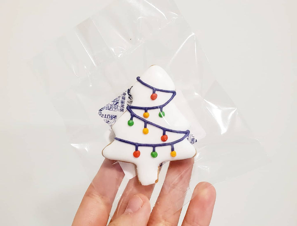 Beginner Class ( Christmas )